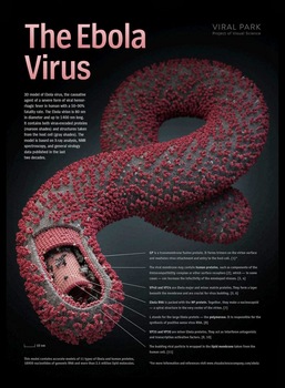 エボラ画像.jpg